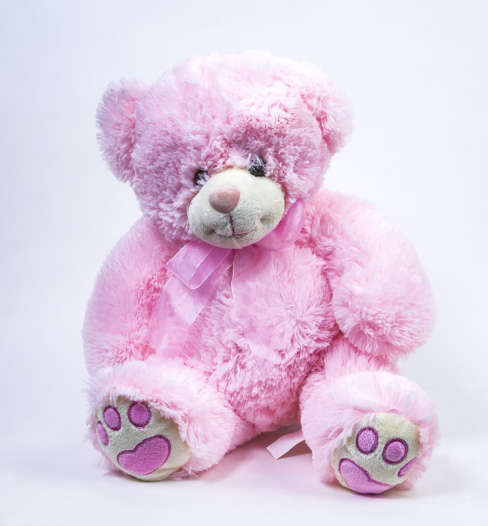 Medium Pink Teddy Bear Cottage Garden