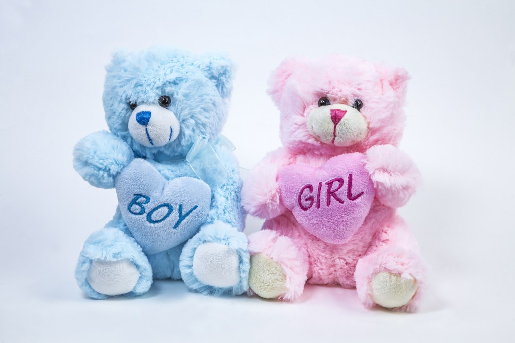 teddy pink colour