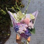 <b>Want more options? Shop our new website!